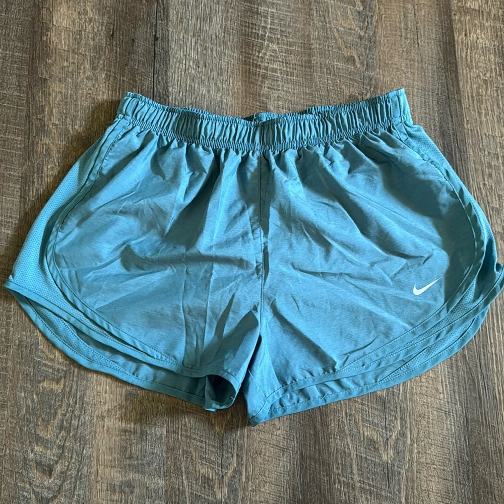 Teal Nike running shorts. Smoke free, pet friendly home.